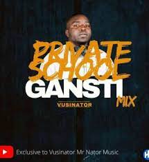 Vusinator Private School Gantsi Mix Mp3 Download Fakaza