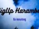 BigUp Harambe – Danger Mp3 Download Fakaza