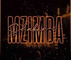 Chillibite, Lesmahlanyeng & 2woshort – Shaker Mzimba ft. QuayR Musiq, Mr Brown, Stompiiey & MAYTEN Mp3 Download Fakaza