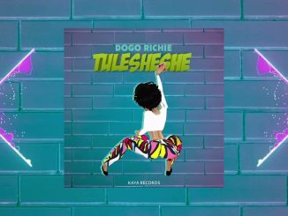 Dogo Richie – TULE SHESHE Mp3 Download Fakaza