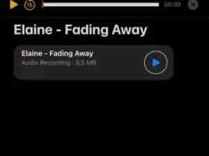 Elaine Fading Away Mp3 Download Fakaza