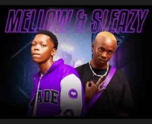 Mellow & Sleazy & Chley Nkosi – Mali ft Dinky Kunene & Sirius Mp3 Download Fakaza
