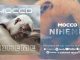 Mocco Genius – Niheme Mp3 Download Fakaza