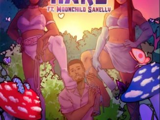 Moliy Hard Ft. Moonchild Sanelly Mp3 Download Fakaza