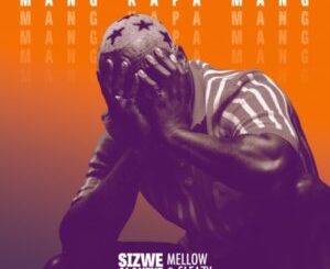 ALBUM: Sizwe Alakine – Alakine World (Cover Artwork + Tracklist) Album Download Fakaza
