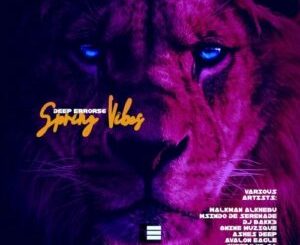 EP: Various Artists – Deep Error56 Spring Vibes Ep Zip Download Fakaza