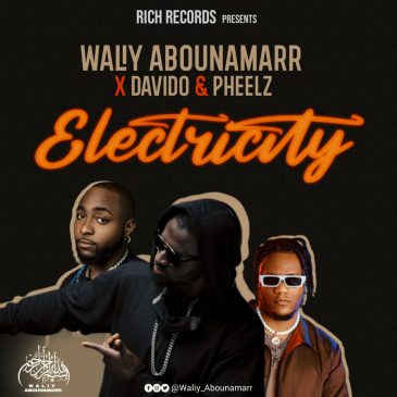 Waliy Abounamarr x Davido x Pheelz – Electricity Mp3 Download Fakaza