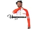 EP: Umafikizolo – Ngathi Ungafa (Album) Ep Zip Download Fakaza