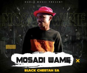 Black Cheetah SA Mosadi Wame Mp3 Download Fakaza