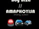 Boy Biza AmaPhoyisa Mp3 Download Fakaza