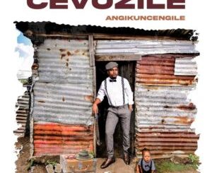 Cevuzile Angisebenzi Mp3 Download Fakaza