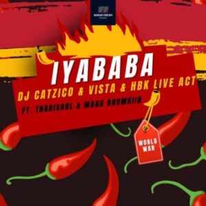 DJ Catzico, Vista & HBK Live Act – Iyababa ft Thabisoul & Magg Drumkiid Mp3 Download Fakaza