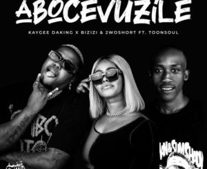 KayGee DaKing, Bizizi & 2woshort Abocevuzile Ft. Toonsoul Mp3 Download Fakaza