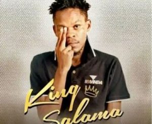 King Salama, DJ Waber & Celeb Maproma – A Le Mpotse Selo Mp3 Download Fakaza