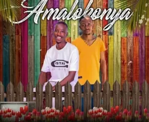 LIL V BBM & Delamighty – Amalokonya Mp3 Download Fakaza