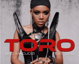 Sho Madjozi – Toro ft DDG Mp3 Download Fakaza