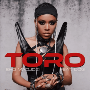 Sho Madjozi – Toro ft DDG Mp3 Download Fakaza