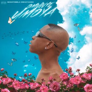 Skmatobela Mshaywaso – Amabele (Gqom Version) ft. Newlandz Finest & Space Pose Mp3 Download Fakaza