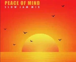 DJ Ace – Peace of Mind Vol 48 (Slow Jam Mix) Mp3 Download Fakaza
