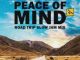 DJ Ace Peace of Mind Vol 49 (Road Trip Slow Jam Mix) Mp3 Download Fakaza
