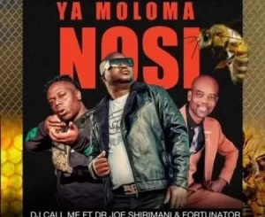 DJ Call Me – Ya Moloma Nosi Ft. Dr Joe Shirimani & Fortunator Mp3 Download Fakaza