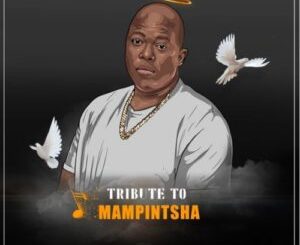 DJ King Bee Mampintsha Tribute Mix Mp3 Download