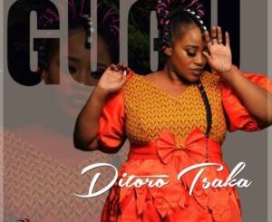 Gugu & T-Man SA – Ditoro Tsaka Mp3 Download Fakaza
