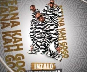 Mfana Kah Gogo – 1104 ft Loki & Priddy DJ Mp3 Download Fakaza