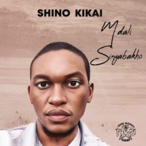 Shino Kikai – What is Love? ft Rorisang Sechele & Playnevig Mp3 Download Fakaza