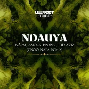 Warm, Amour Propre & Idd Aziz – Ndauya (Enoo Napa Remix) Mp3 Download Fakaza