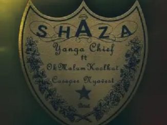 Yanga Chief Shaza Ft. Okmalumkoolkat, Cassper Nyovest Mp3 Download fakaza