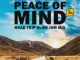 Amapiano Mix: DJ Ace Peace of Mind Vol 49 (Road Trip Slow Jam Mix) Mp3 Download Fakaza