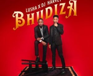 DJ Harvey & Lusha – Bhudiza ft TA MusiQ, Citykingrsa, JFS Music, Blvcknavy & Deeray Mp3 Download Fakaza