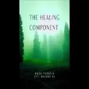 Woza Thobzin – The Healing Component ft. Malume K Mp3 Download Fakaza