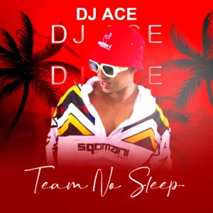 ALBUM:DJ Ace – Team No Sleep Album Download Fakaza