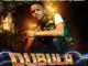 HarryCane x Master KG & DJ Latimmy – Dubula (Nyusa Nyusa) Ft. Eemoh Mp3 Download Fakaza