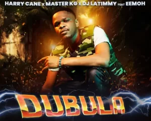 HarryCane x Master KG & DJ Latimmy – Dubula (Nyusa Nyusa) Ft. Eemoh Mp3 Download Fakaza