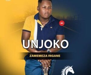 ALBUM: UNjoko – Usumehlule Album Download Fakaza