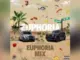 Amapiano Mix: Vigro Deep – Euphoria Mix (100% Production) Mp3 Download Fakaza