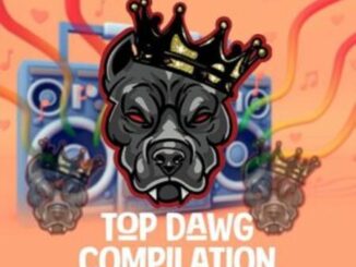 ALBUM: Top Dawg MH – Top Dawg Compilation Vol. 2 Album Download Fakaza