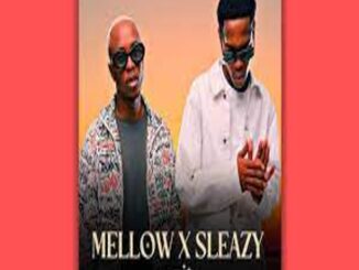 Mellow & Sleazy – Shukumisa ft. LeeMcKrazy, Miano & Jayden Laa Mp3 Download Fakaza