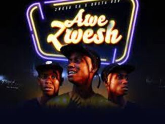 Zwesh SA & Busta 929 – Awe Zwesh Ft. Sizwe Alakine, Percy V & Whistle God Mp3 Download Fakaza