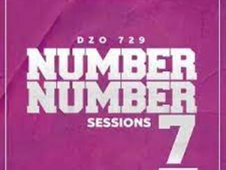 Dzo 729 – Number Number Session 7 Mp3 Download Fakaza