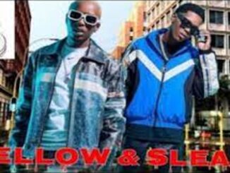 Mellow Sleazy- Yeyeye Ft. Nkulee 501, TribSoul Mp3 Download Fakaza