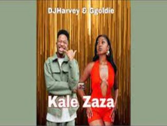 DJHarvey & Ggoldie – Kale Zaza Ft. Zee Nxumalo, Chley, TMA RSA, Mafis Musiq, Wise Fellas & Chillie SA Mp3 Download Fakaza