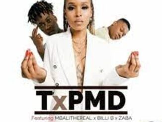 TxPMD – Isukile Ft. Mbali The Real, Billi B & Zaba Mp3 Download Fakaza