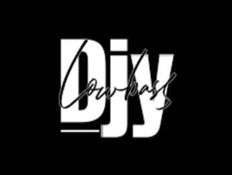 Lowbass Djy – Sgidi 11 Mp3 Download Fakaza