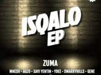 Umshini & Zuma – iMali Mali Mp3 Download Fakaza