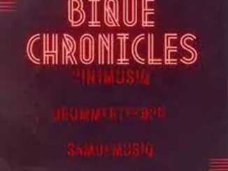 DrummeRTee924, 2in1musiq & Sam De MusiQ – Bique Chronicles Mp3 Download Fakaza