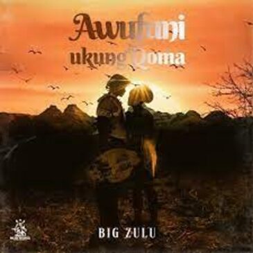 Big Zulu – Awufuni Ukung’Qoma  Mp3 Download Fakaza